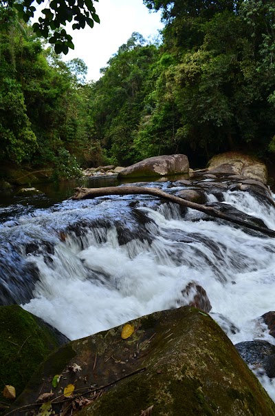 Trilhas e paisagens do Quilombo da Fazenda – foto 1 de 11