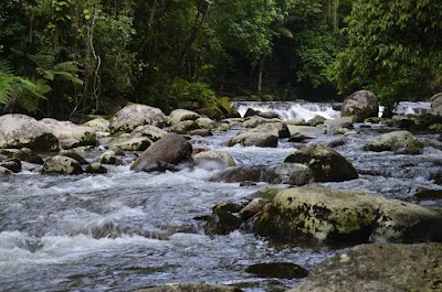 Trilhas e paisagens do Quilombo da Fazenda – foto 4 de 11