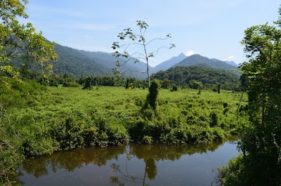 Trilhas e paisagens do Quilombo da Fazenda – foto 8 de 11
