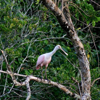 Trilhas e paisagens do Quilombo da Fazenda – foto 11 de 11